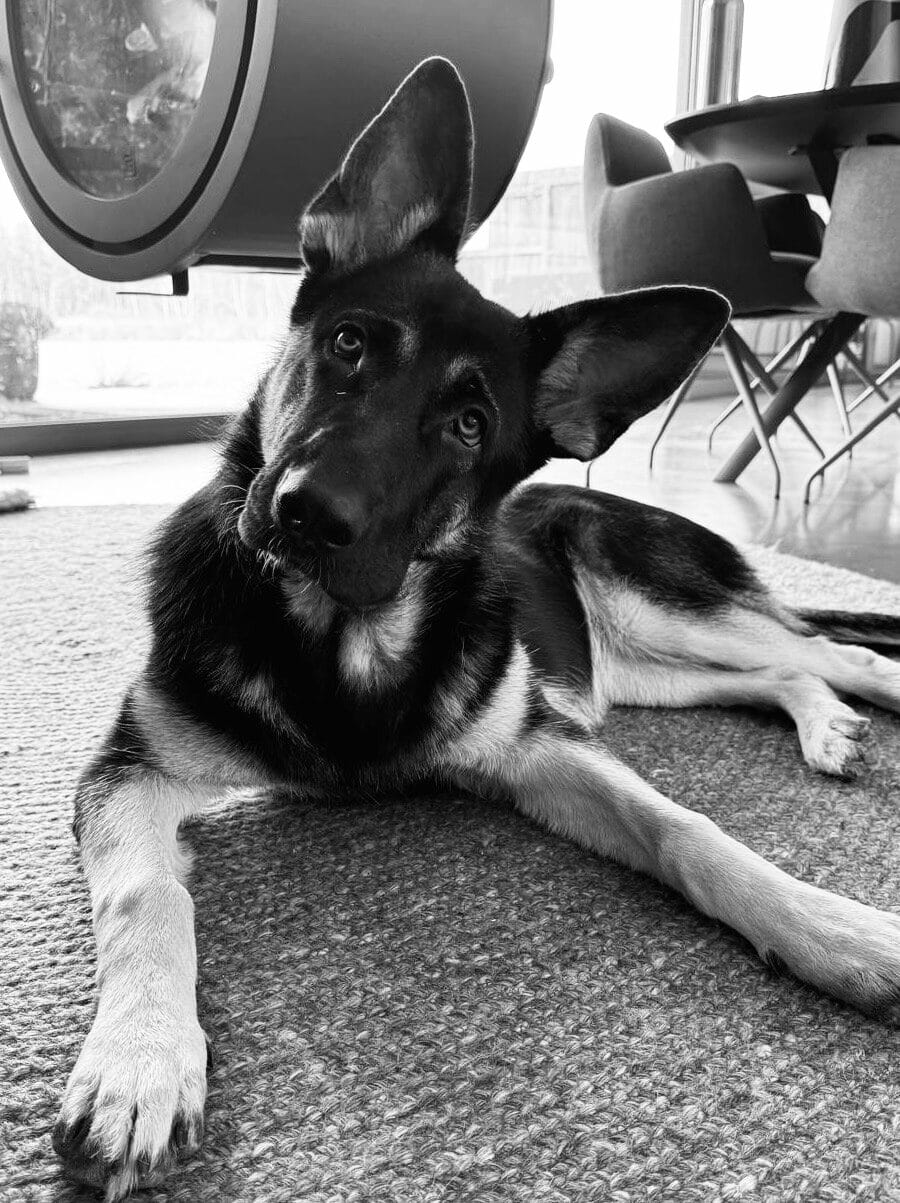 Yuna the Shepherd - office cheerleader Models at Work